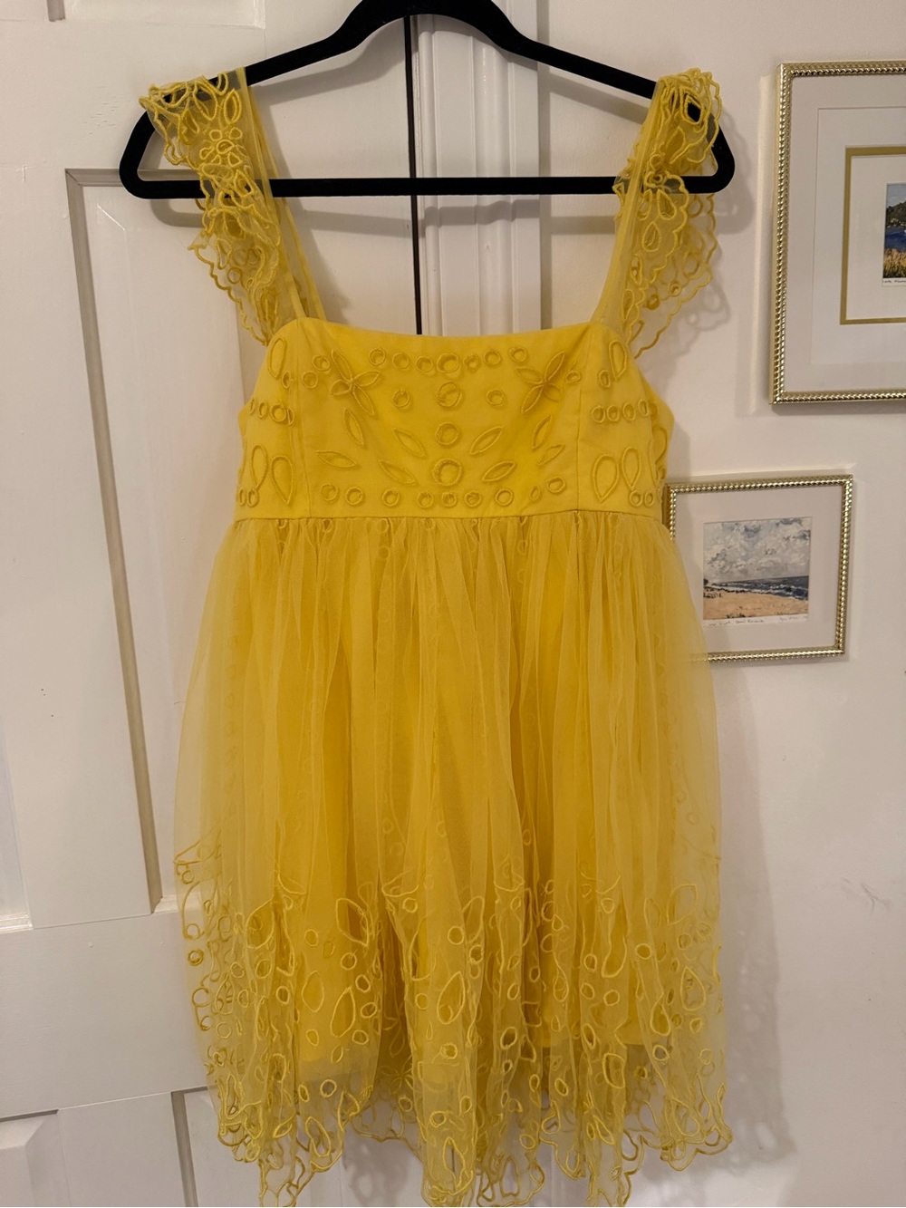 NWT Anthropologie Yellow Embroidered Tulle Mini Dress - Picture 3 of 5
